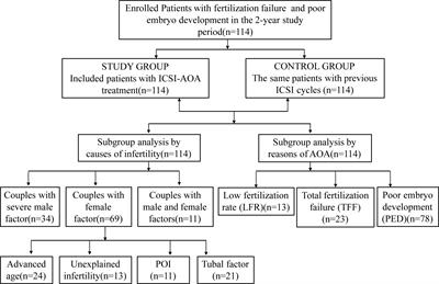 Artificial oocyte activation with Ca2+ ionophore improves reproductive outcomes in patients with fertilization failure and poor embryo development in previous ICSI cycles